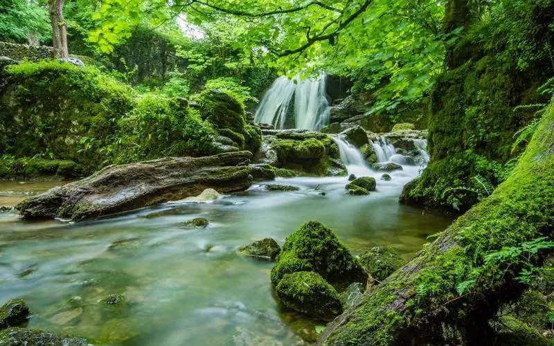 高端高性能智慧